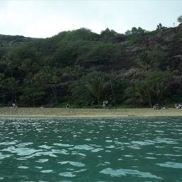 videotech2's profile picture. 