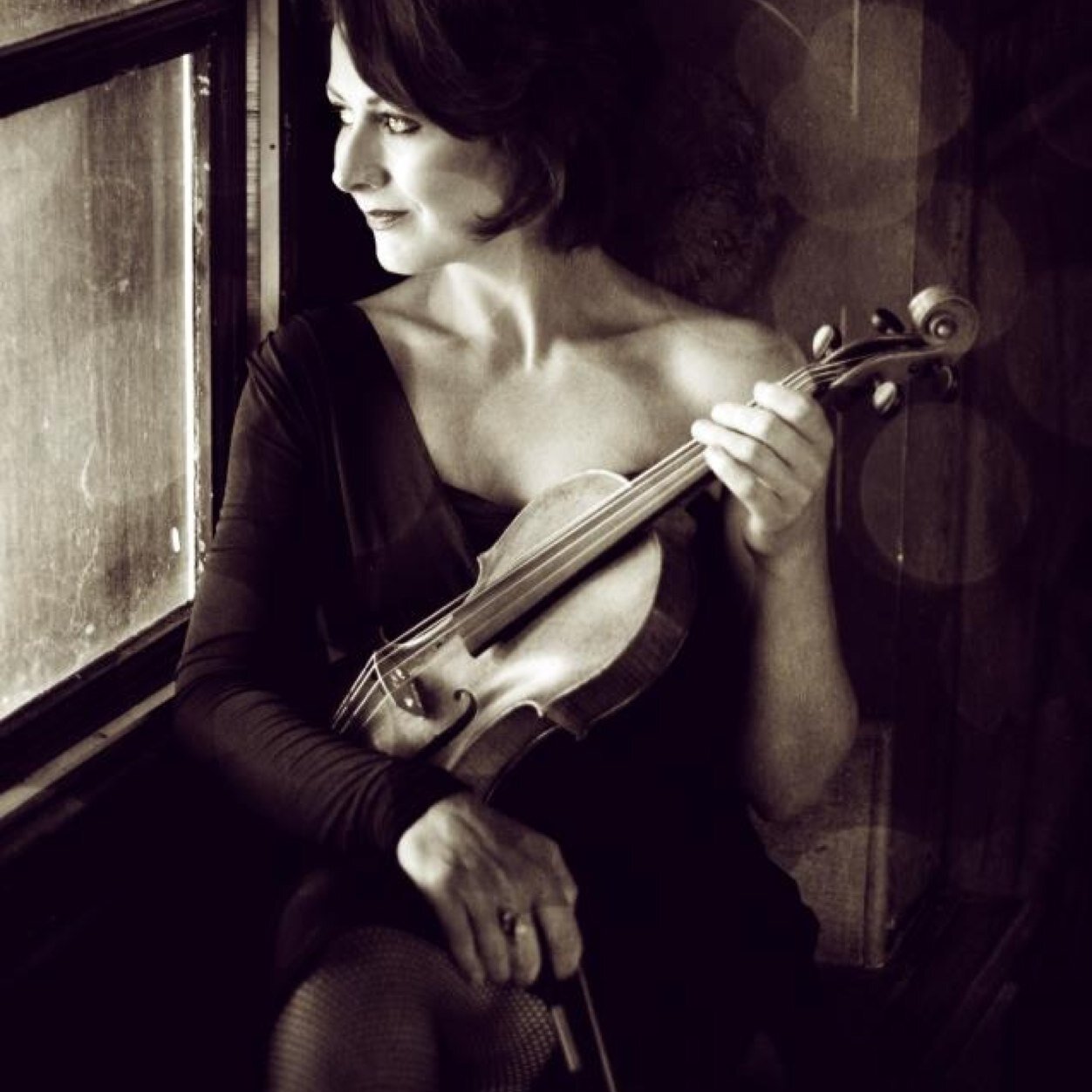 ladylalaviolin's profile picture. 