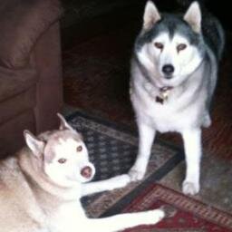 BillDearstyne's profile picture. Atheist; Religion hardens hearts and enslaves minds.