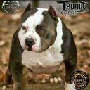 Doc Denton - @TapoutsCoda - Twitter