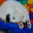 LilianaGodoy's profile image