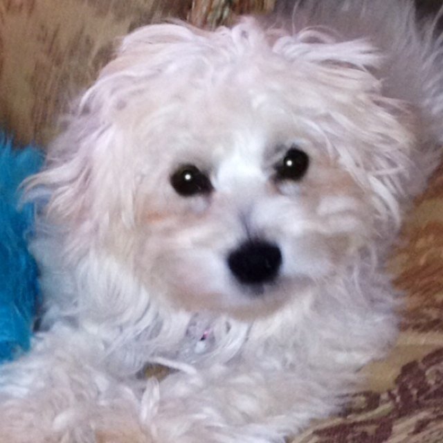 cindy_chale's profile picture. Wife, mom, health entusiast:)
God is love!! John 3:16