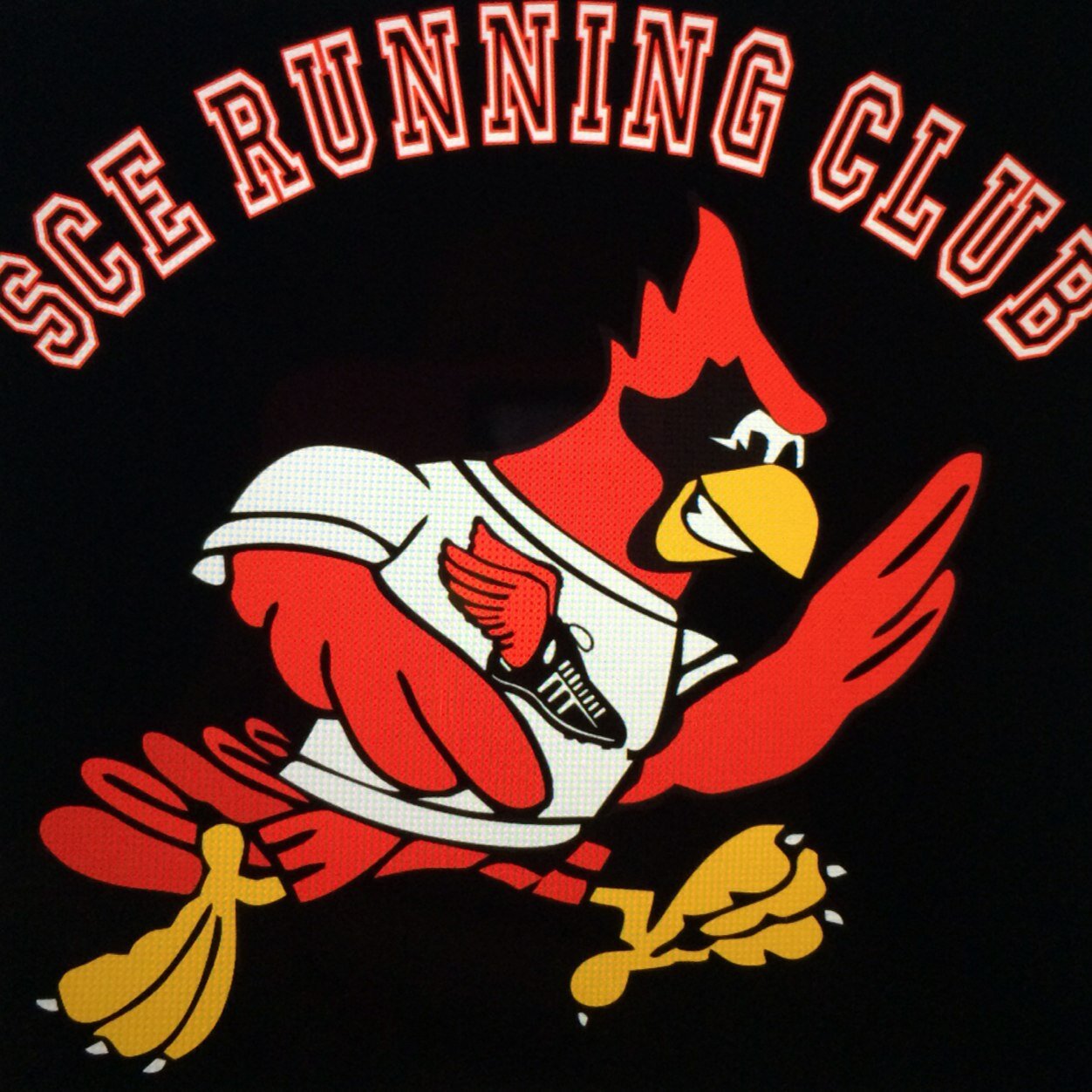 The SCE Running Club is composed of 3-5 grade students who want to have fun exercising and staying fit while giving back to the community.