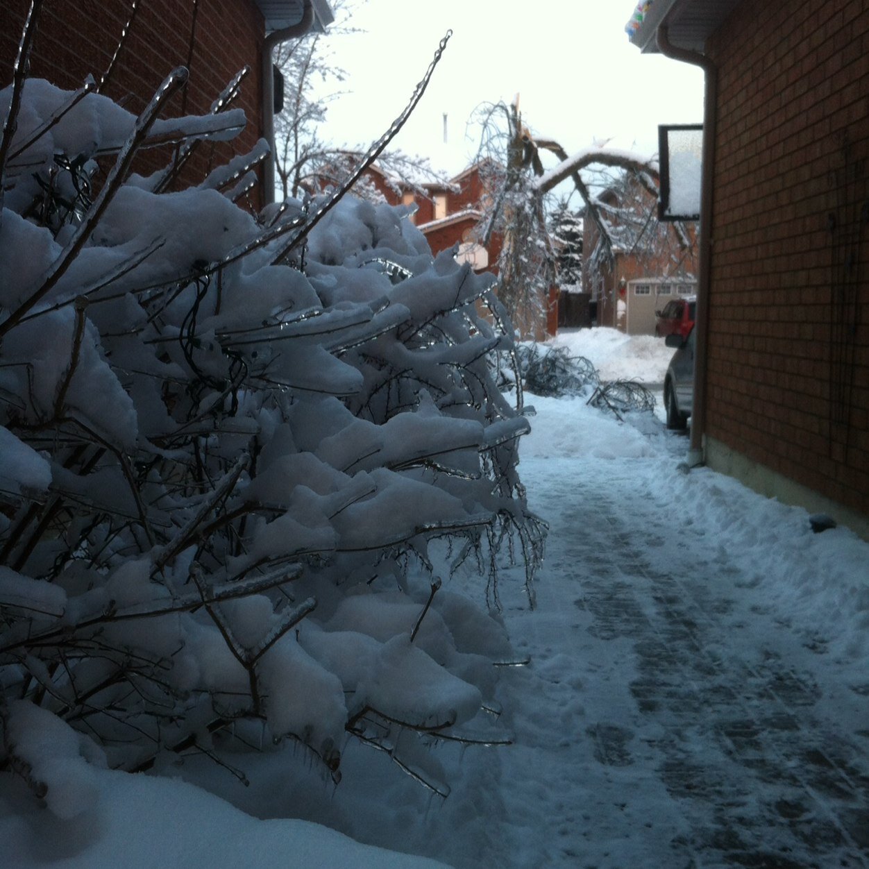 marz0866's profile picture. 