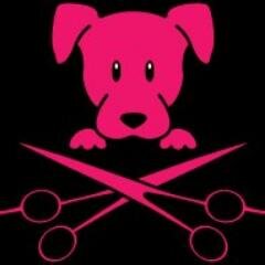 dog grooming boutique