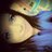 1515Viviana's profile image