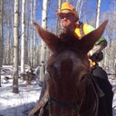 Gavin Foster - @hardhittslp - Twitter