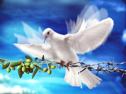 ─╔╗╦╔╗╔╗──╦╗╔═──╗╔╔╗╦╔╦╗╔╗─ ─╚╗║║╦║║──║║╠═──║║║║║─║─╠╣─ ─╚╝╩╚╝╚╝──╩╝╚═──╚╝╚╝╚═╚─╝╩─