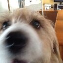 Anne wareham - @wareham_anne - Twitter