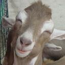 Michele Read - @CheleRead - Twitter