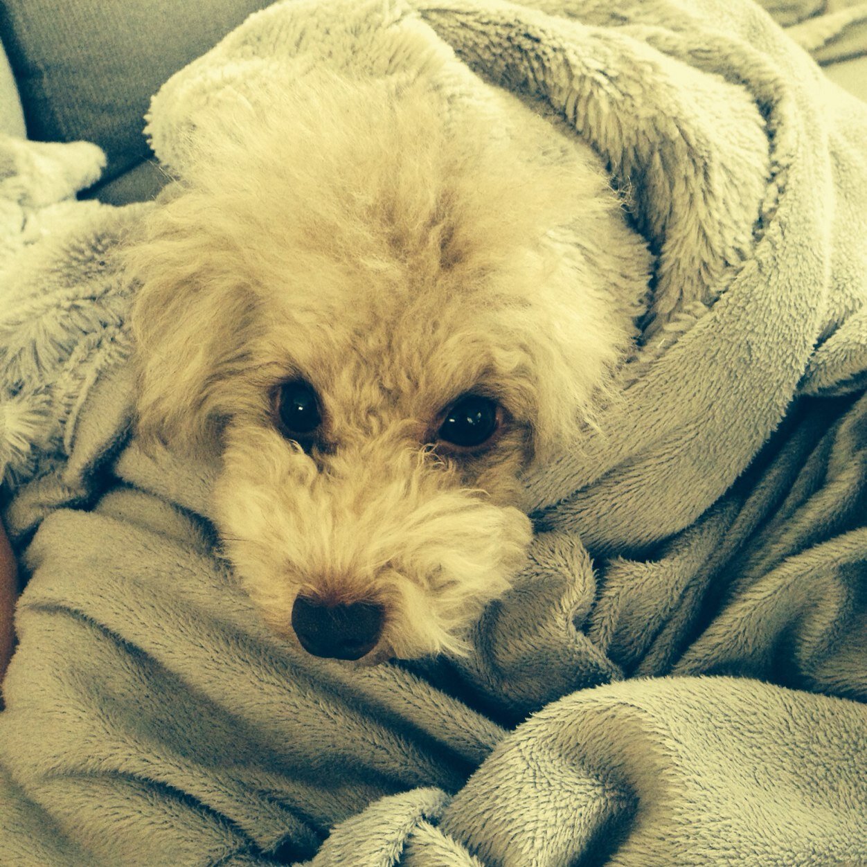 notkyouzou's profile picture. 都市大環境学部マネジメント学科。