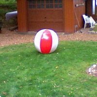 Paul Borchardt (@pmbhawk) 's Twitter Profile Photo