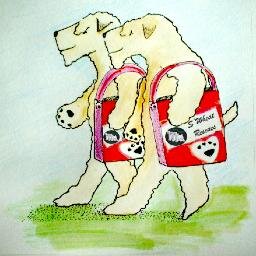 swheatrescues's profile picture. Biggest and Best Soft Coated Wheaten Terrier and Wheatable Rescue in the USA!!