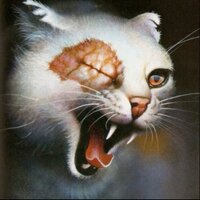 swiftclaw (@swift_claw) 's Twitter Profile