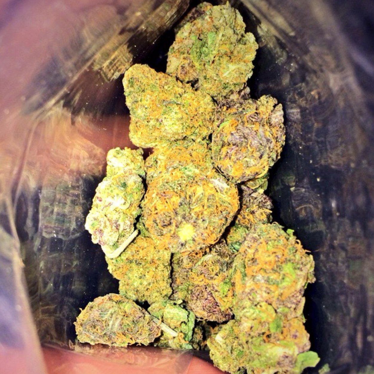 __Smokey___'s profile picture. I smoke weed, i roll weed, i grow weed and i blow weed. #LifeOfaStoner