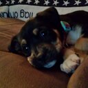 Alan Sayre - @asayreal - Twitter