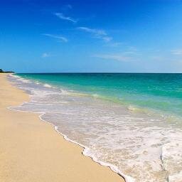 Vacation island; A place for celebrities to get away and do whatever they please. There are no rules here, what will happen? Sex, drugs, love? You decide.