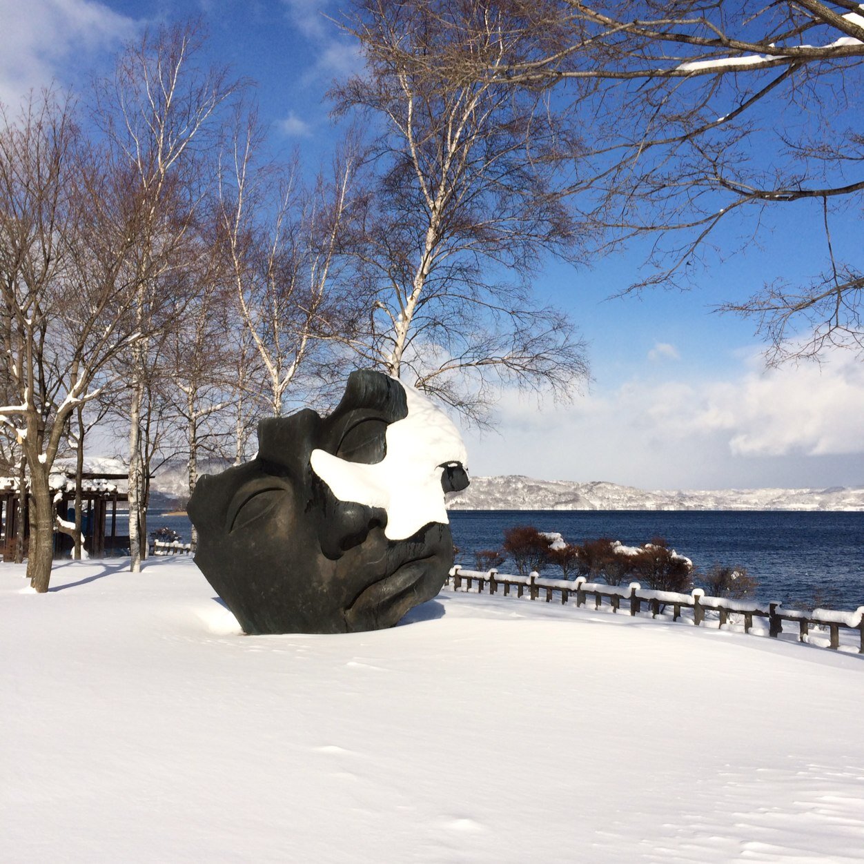 l9arbre's profile picture. 