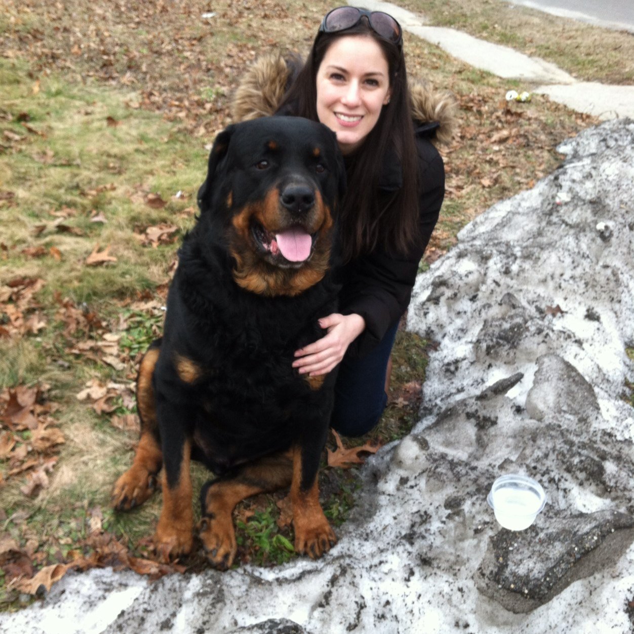 LaurenDiBiase's profile picture. 