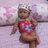 AyusHarsikawidi's profile image