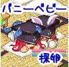 OBTからの住人。トリックスターはオンラインでの故郷のようなもの。今はスマホ版ファンタジーライフに夢中❤