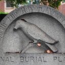 Rachel Dellinger - @RachelDellinger - Twitter