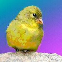 am.curious.sometimes (@amcuriousnj) 's Twitter Profile