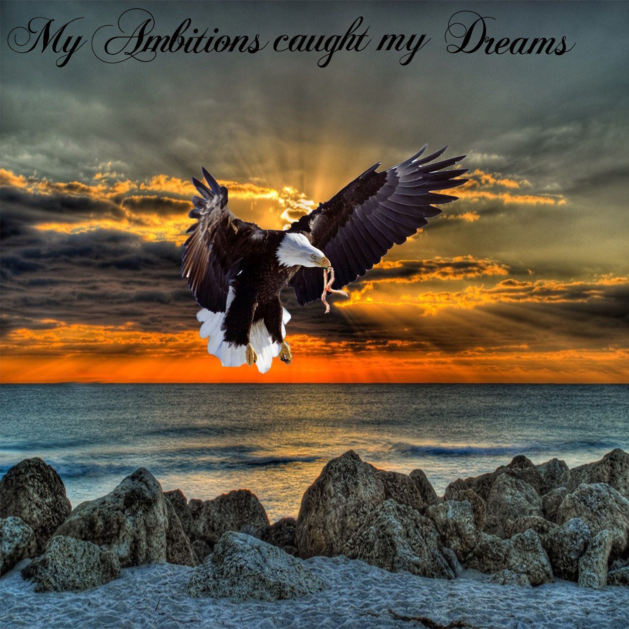 1Ambitious_Star's profile picture. GR8ness/1 man army/mr. ima go getter