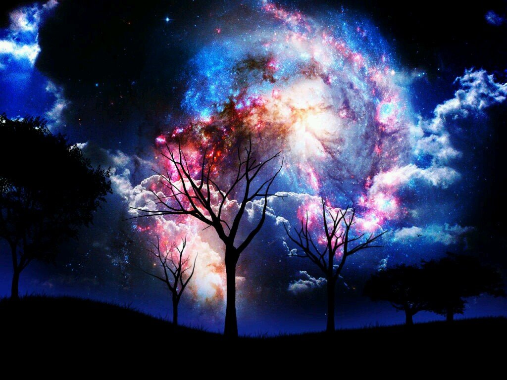 I Love music, sleeping, food, day-dreaming, reading and to explore and adventure.