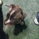 Jordan Mccarty - @JordanMccarty12 - Twitter