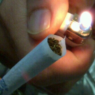 0xtigerbunny's profile picture. エアドロップonly