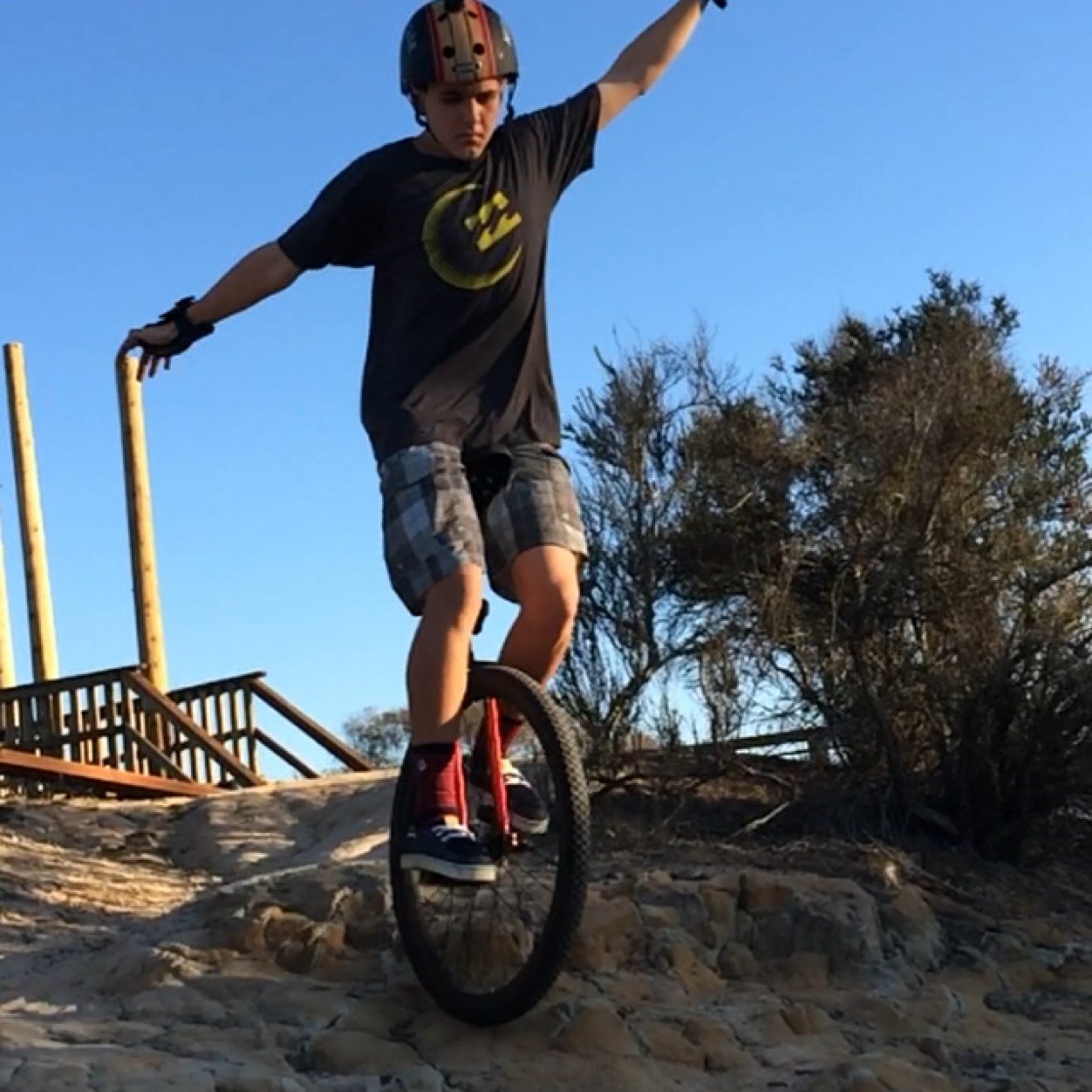 drevilpenguin's profile picture. 