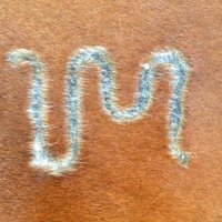 Victor Montero (@vimp9) 's Twitter Profile