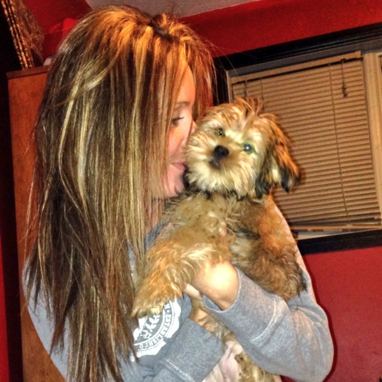 kristynsheehan's profile picture. 