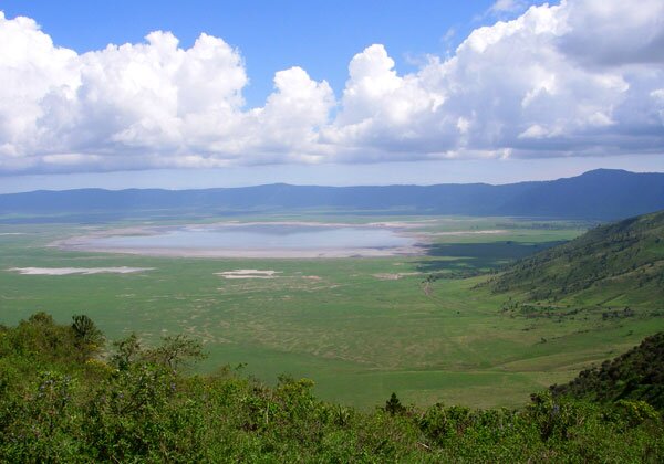 ンゴロンゴロ保全地域 Ngoro Ngoro Twitter ンゴロンゴロ保全地域 Ngoro Ngoro Twitter