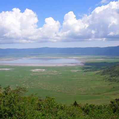 ンゴロンゴロ保全地域 Ngoro Ngoro Twitter