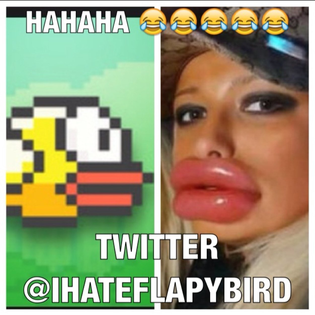 IF YOU HATE FLAPPY BIRD FOLLOW THIS PAGE. #SLAPPYBIRD