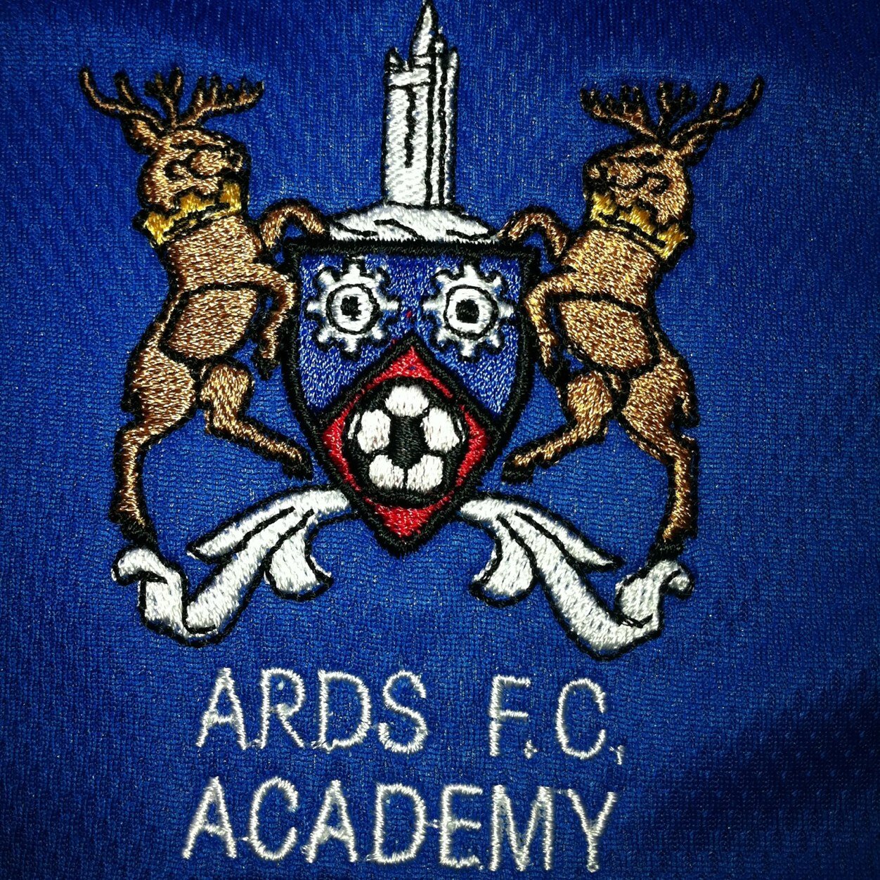 Ards Academy is the junior section of Ards F.C. We also have a girls section Ards Ladies FC. If you require any further information please contact us.