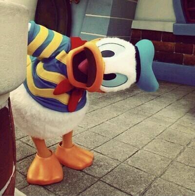 pigpig85's profile picture. 夢はでっっっっかく。