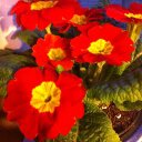 joanne may - @joannem73033785 - Twitter