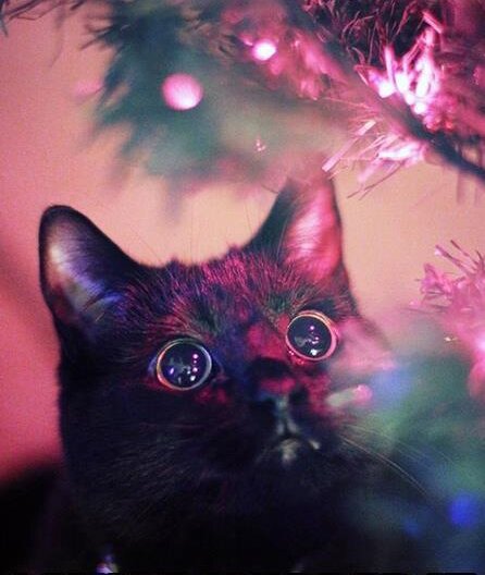 Have you turn more light on then off?