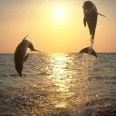 bella edward - @BellesEdward - Twitter