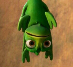 영화 Tangled(2010)의 라푼젤 수동봇(@Rapunzel_krb)의 친구, 파스칼 수동봇. 봇이라기보다는 라푼젤 봇의 공지계. 전부 맞팔하며, 별통 안에 모든 봇주의 공지들이 들어있습니다. 필독! 피드백 및 문의는 DM.
