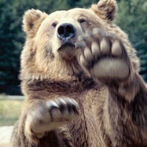 biggreen1967's profile picture. ヴェルディサポです(^o^ゞよろしくお願いします。