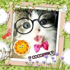 DTM,Piano,Electone,Koto,Flute,Movie,Ghibli,Classic,JAZZ,A.Hepburn,李小龍,成龍,Bill Evans,Michael Jackson,Beethoven,LOTR,Les Misérable