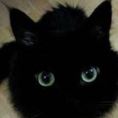 LalkZsfia's profile picture. 