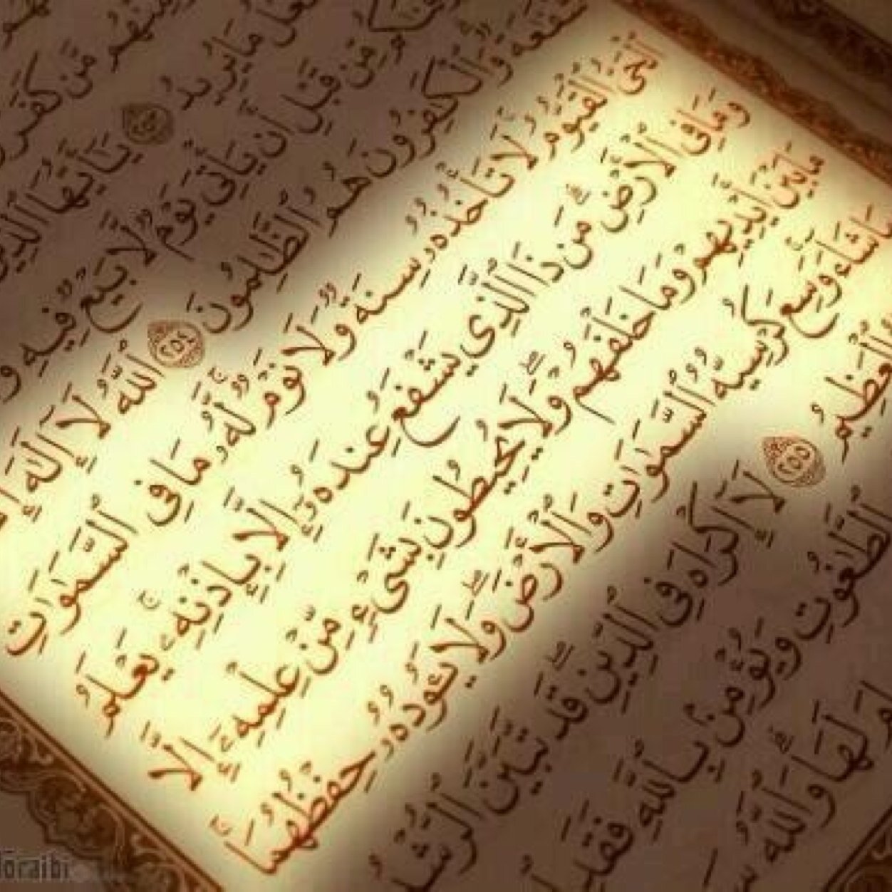 ‏‏لعله يكون شفيعآ لهُ ويرفعه الله بهاذا منزله طيبه وينفع به قلوب يحيها ذكر الله ..سبحان الله وبحمده سبحان الله..وقف لعبدالله..