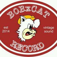 BOBxCAT (@bobxcat) 's Twitter Profile