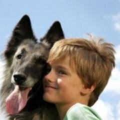 Hi dear, are searching for informations about German shepherd puppy training, German shepherd basics. So take a look here you can find all of you want to know.