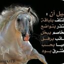 لاشي (@0550217613) Twitter
